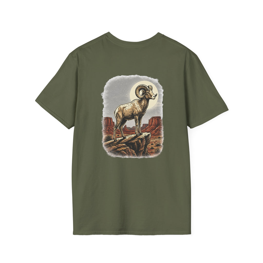 Desert Sentinel