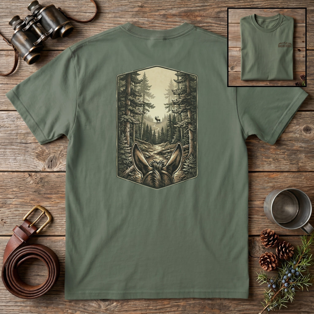 Into Elk Country